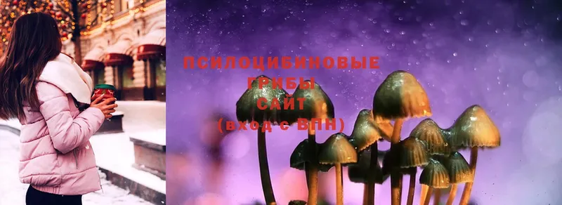 MEGA маркетплейс  Велиж  Псилоцибиновые грибы Cubensis 